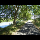 Ein guter Radweg am Canal du Midi